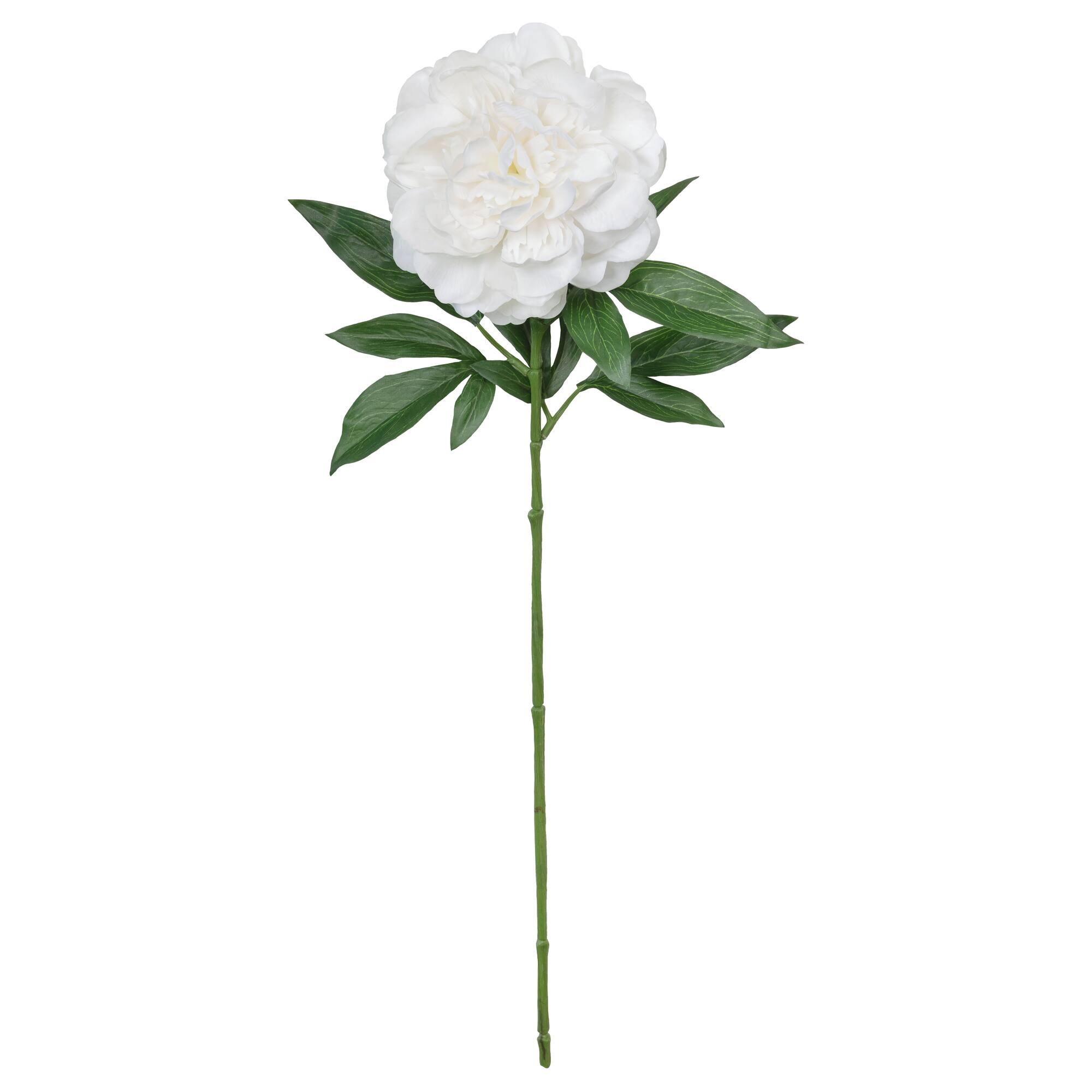 25.5" Peony Real Touch Stem by Ashland